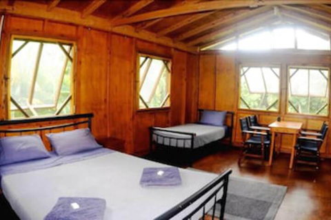 Daintree Rainforest Bungalows - Travel Agents 5
