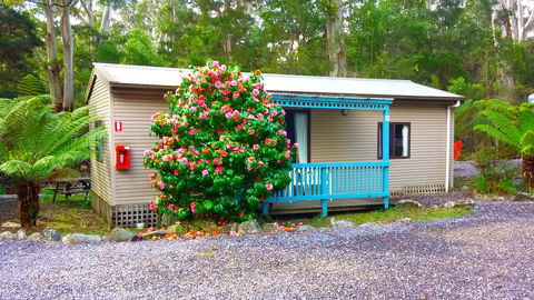 BIG4 Strahan Holiday Retreat - Travel Search 6