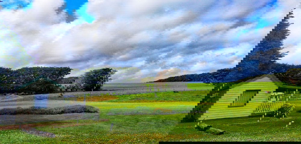 Princetown VIC Tourism Guide