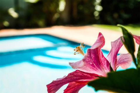 Coffs Harbour Holiday Apartments - Travel Search 1