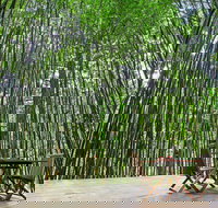 Azabu Boutique Accommodation Byron Bay - Travel Agents