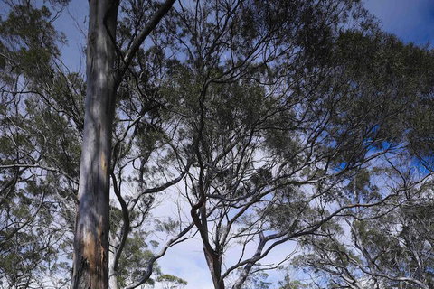 Rocky Hills Retreat - Travel Agents 7