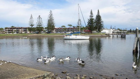 Portview 8 8 / 2 Waugh Street - Cruises Travel 4