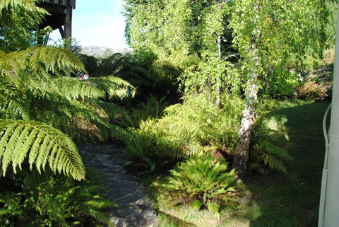 The Wombat Cottage - Travel Search 4