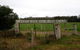 Brodribb River Rainforest Cabins Cabin 2 - thumb 7