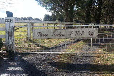 Three Linden - Tourism Guide 3