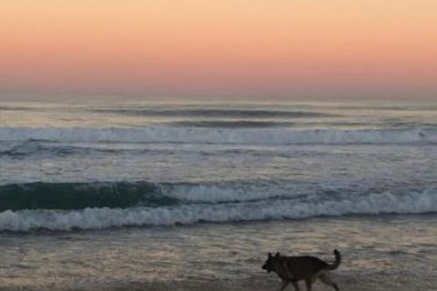 Ginaâ€˜s Place - Travel Search 4