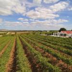 Barossa Valley Lyndoch - Travel Agents 0