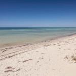 Boardwalk - Tourism Guide 0