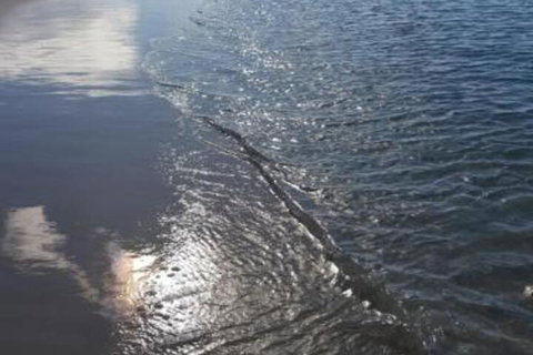 Beachside Husky Waterfront - Tourism Guide 7