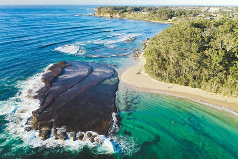 Mollymooks Tee To Sea 19 Buchan Street - Travel Search 1