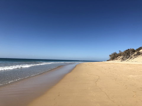 Shipley At Portsea - Tourism Guide 6