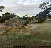 Young Budget Accommodation - Travel Search