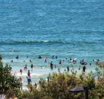 Pacific Towers Unit 4 19 Ormonde Tce Kings Beach - Travel Search