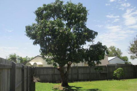 Fishermans Cottage Hervey Bay - Travel Agents 2