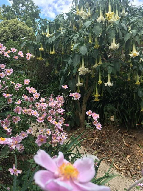 Adelaide Hills B & B Accommodation - Travel Agents 6