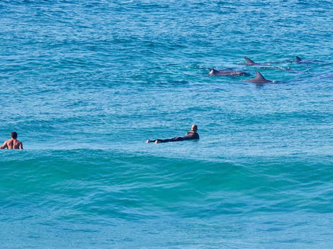 Beach Front Bliss - Cruises Travel 3