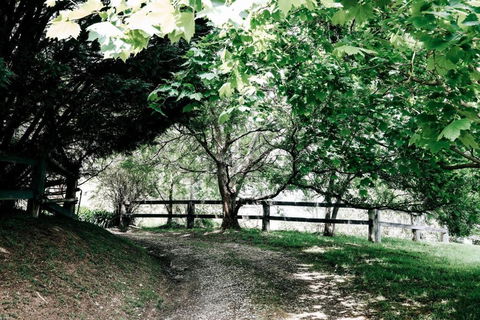 Braebrook Stunning Farm House! - Travel Search 3