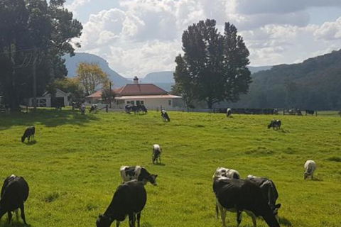 Glenmurray Country Farm Stay! - Tourism Guide 0