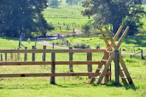 Glenmurray Country Farm Stay! - Tourism Guide 4