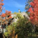 Cloudsong Chalet 4 Close To The Village Centre! - Tourism Guide 0