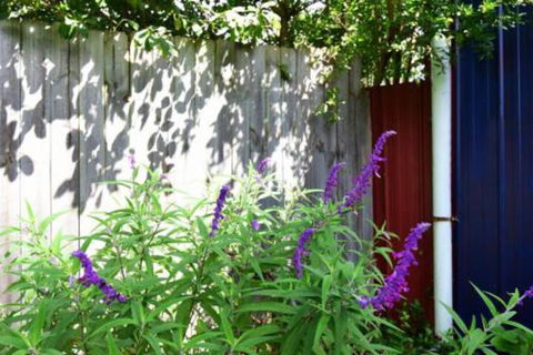 Lulu Hill Cottage Kangaroo Valley - Tourism Guide 7