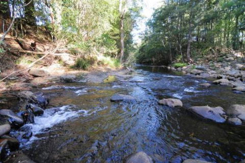 Willabrook Retreat Rest Cottage Spoil Yourself! - Travel Search 7