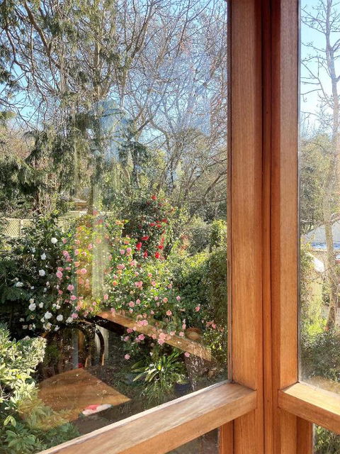 Adelaide Hills Camellia Cottage WiFi - Travel Agents 6