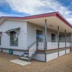 Desert Pea - Travel Search 0