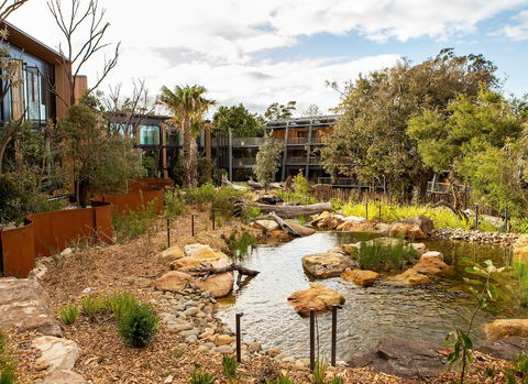 Wildlife Retreat At Taronga - Travel Search 3