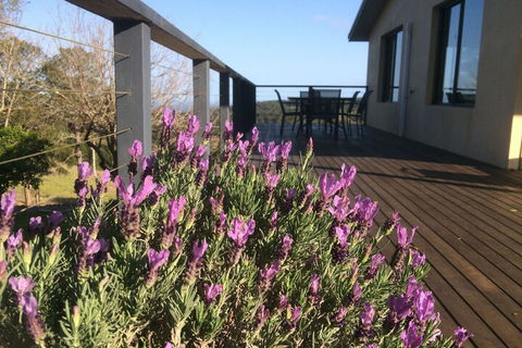 Maleny Mountain Retreat - Travel Search 2