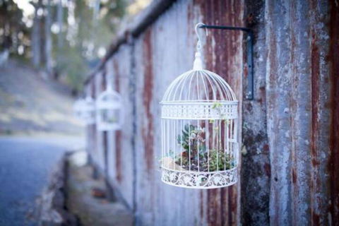 Fork N Farm Artisan Homestead - Travel Search 4
