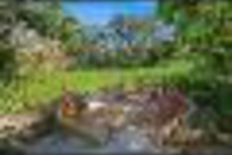 Superior Apartment - Tourism Guide 2