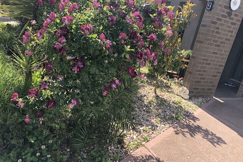 Apple House - Travel Agents 1