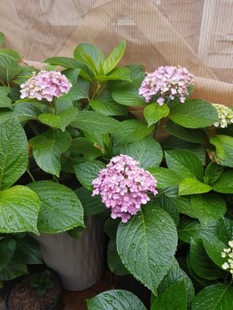 Brae Mar - Travel Agents 5