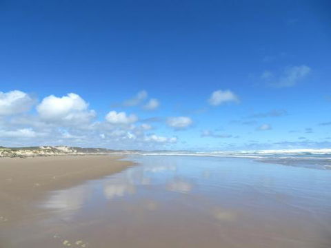 Arthur Riverfront & Sea Lodge Downstream - Travel Search 0