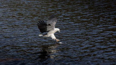 Arthur Riverfront & Sea Lodge Downstream - Travel Search 3