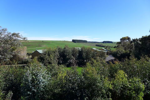 Daysy Hill Country Cottages - Tourism Guide 6