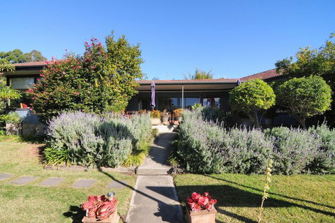 Dolphin Sands - Tourism Guide 4