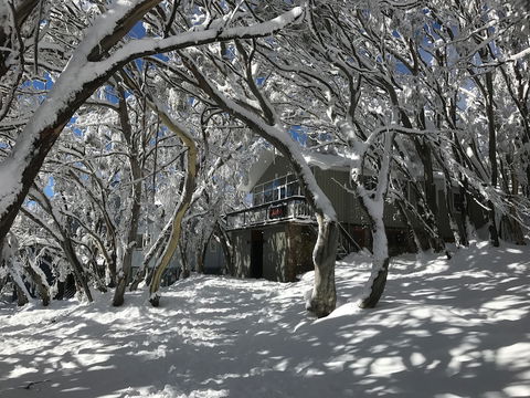 Amber Lodge Mt Buller - Hostel - Travel Agents 2