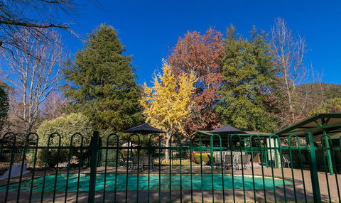 The Birch House - Silver Birches - Travel Search 1