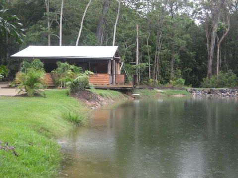 Rainforest Ranch - Cruises Travel 0