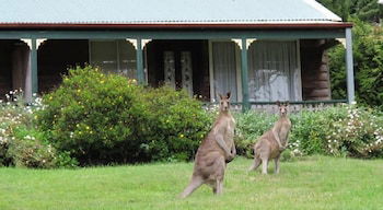 Cedar Lodge Cabins - Travel Search 0
