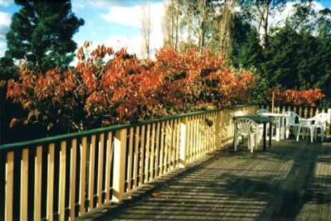 Heronswood House B & B - Travel Search 7