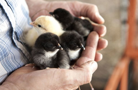 Margaret River Hideaway - Tourism Guide 0