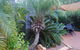 Kingaroy Holiday Park - thumb 1
