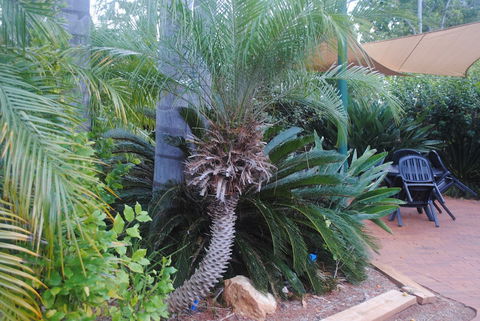 Kingaroy Holiday Park - Tourism Guide 1