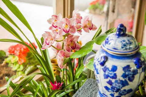 Kempsey Rose Motor Inn - Travel Agents 7