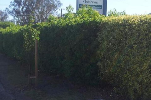 Glenndale Park Motel - Travel Agents 4