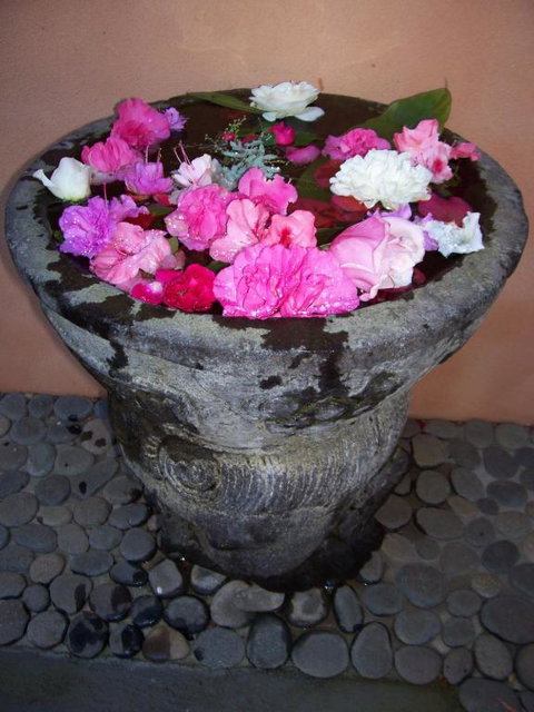 Riveresque - Tourism Guide 2